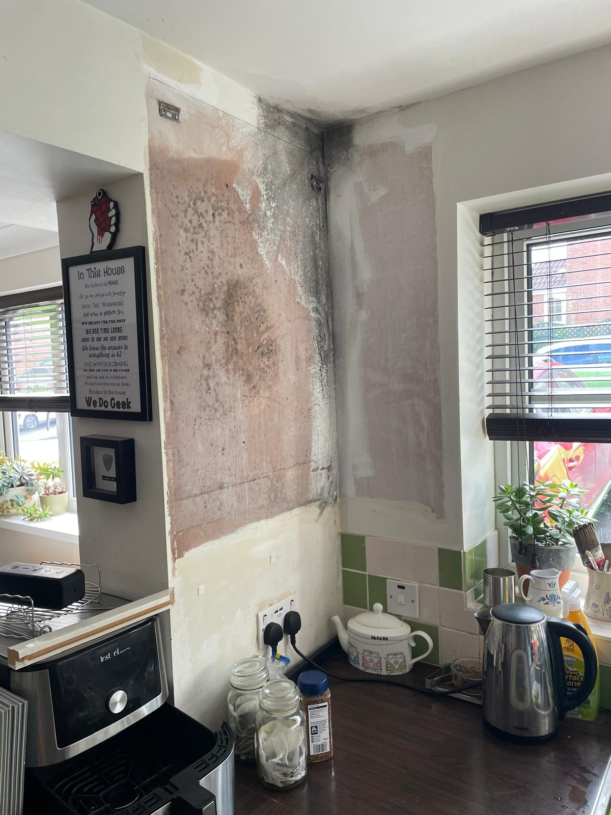 mould treatment