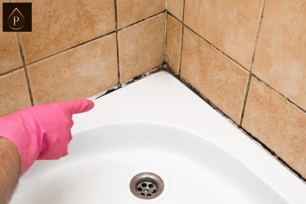 how to get rid of bathroom mould