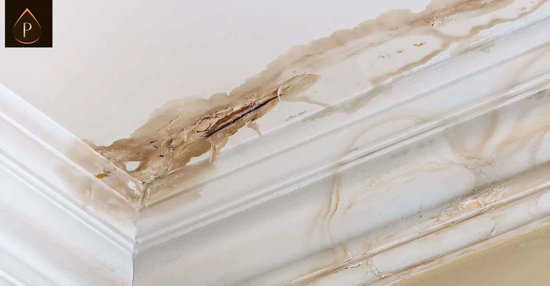 thermal imaging damp survey Swansea