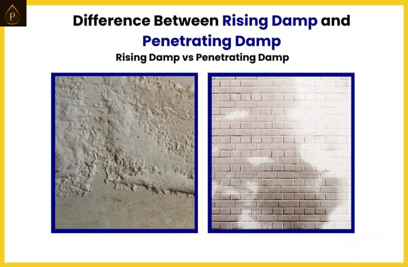 Rising damp vs penetrating damp vs condensation South Wales