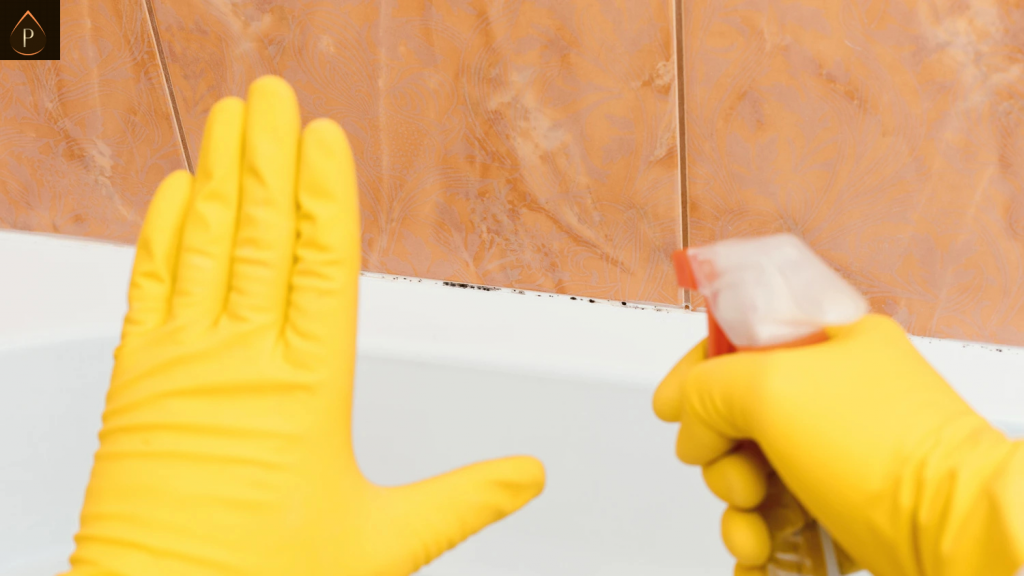 Removing black mould from washable clothes and bedding