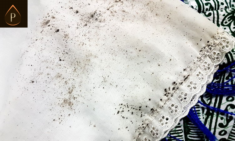 How Do You Remove Mould from Fabric?