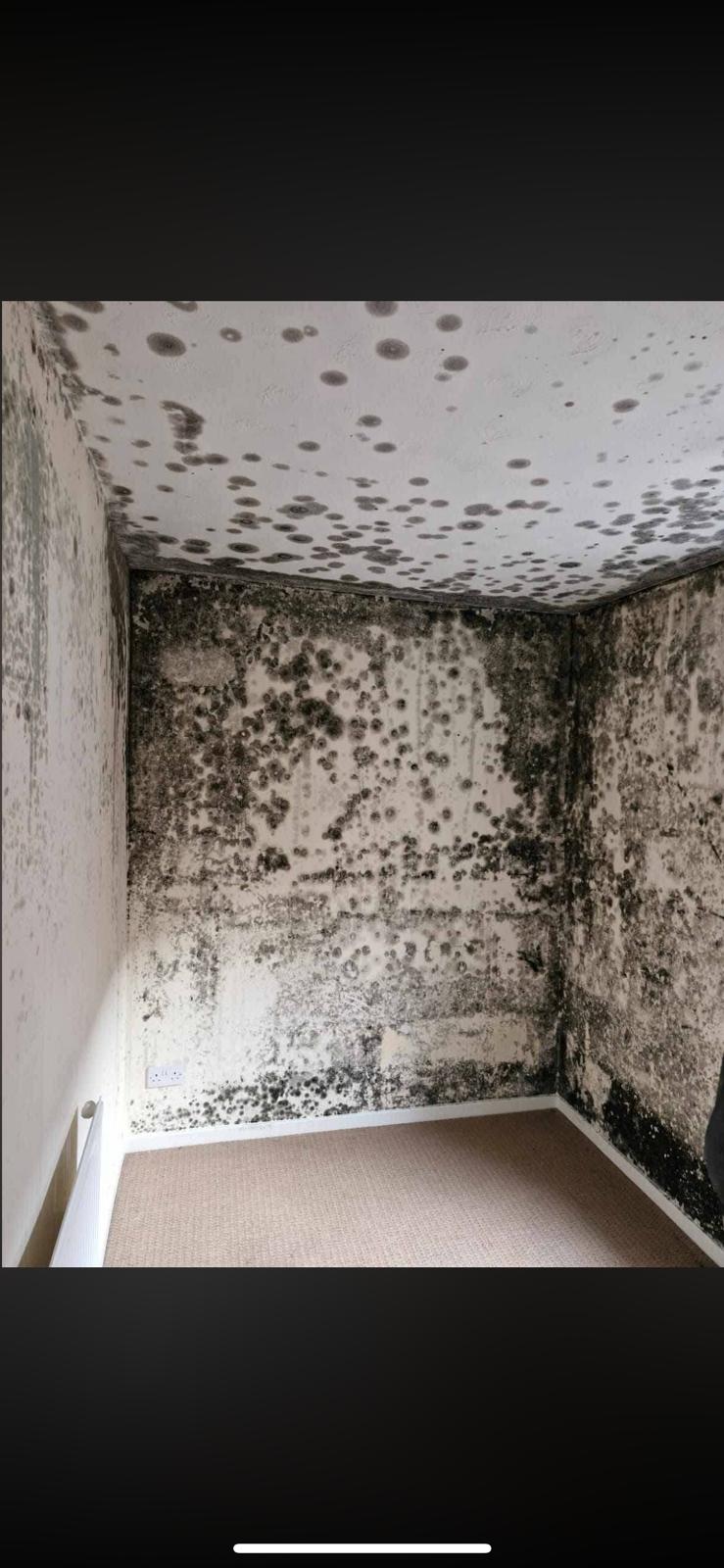 Winter mould prevention Pontypridd
