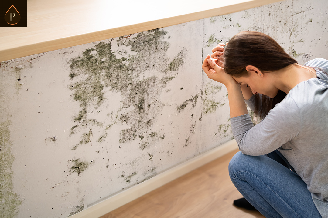 Pontypridd Victorian Terraces Damp