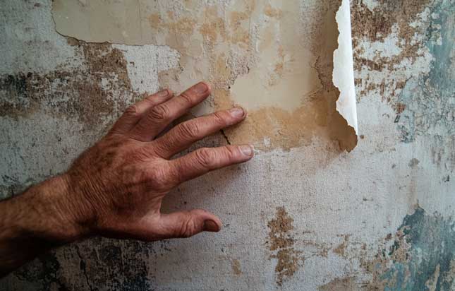 Wet-Patch-on-Internal-Wall