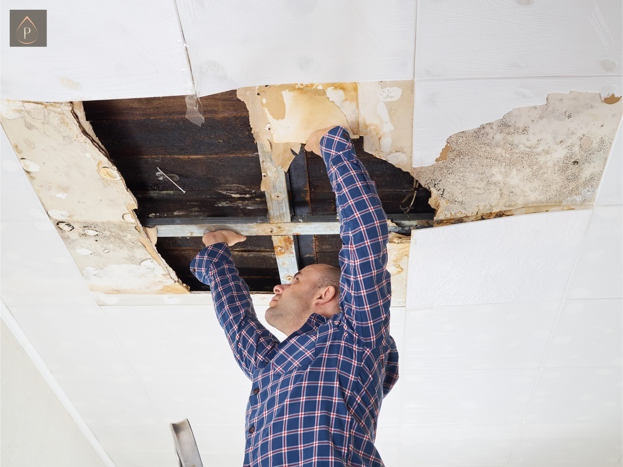 hidden mould behind Pontypridd plasterboard walls