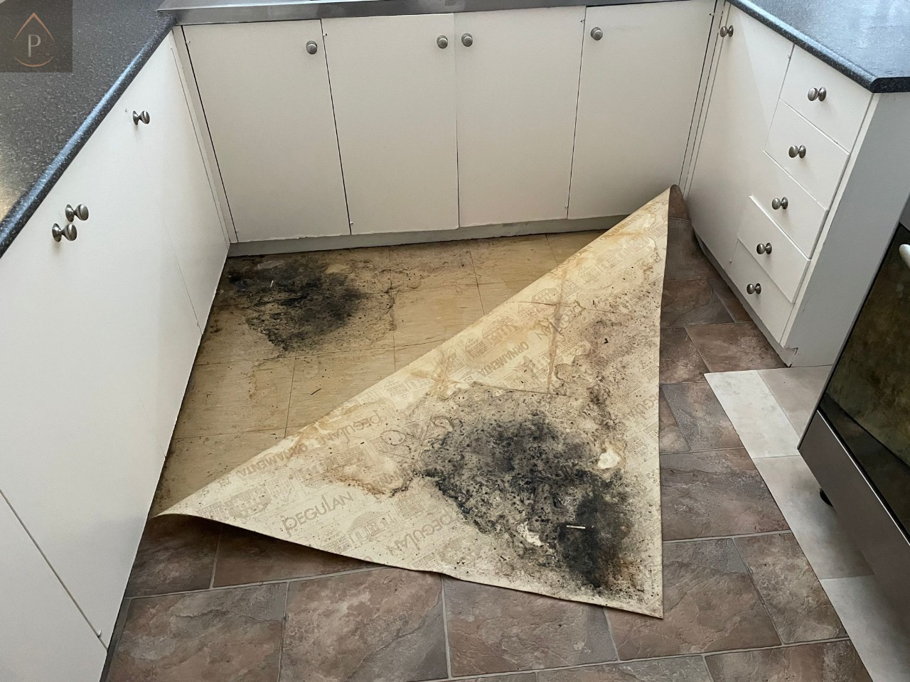 Mould‑Resistant Flooring Options for Damp‑Prone South Wales Properties